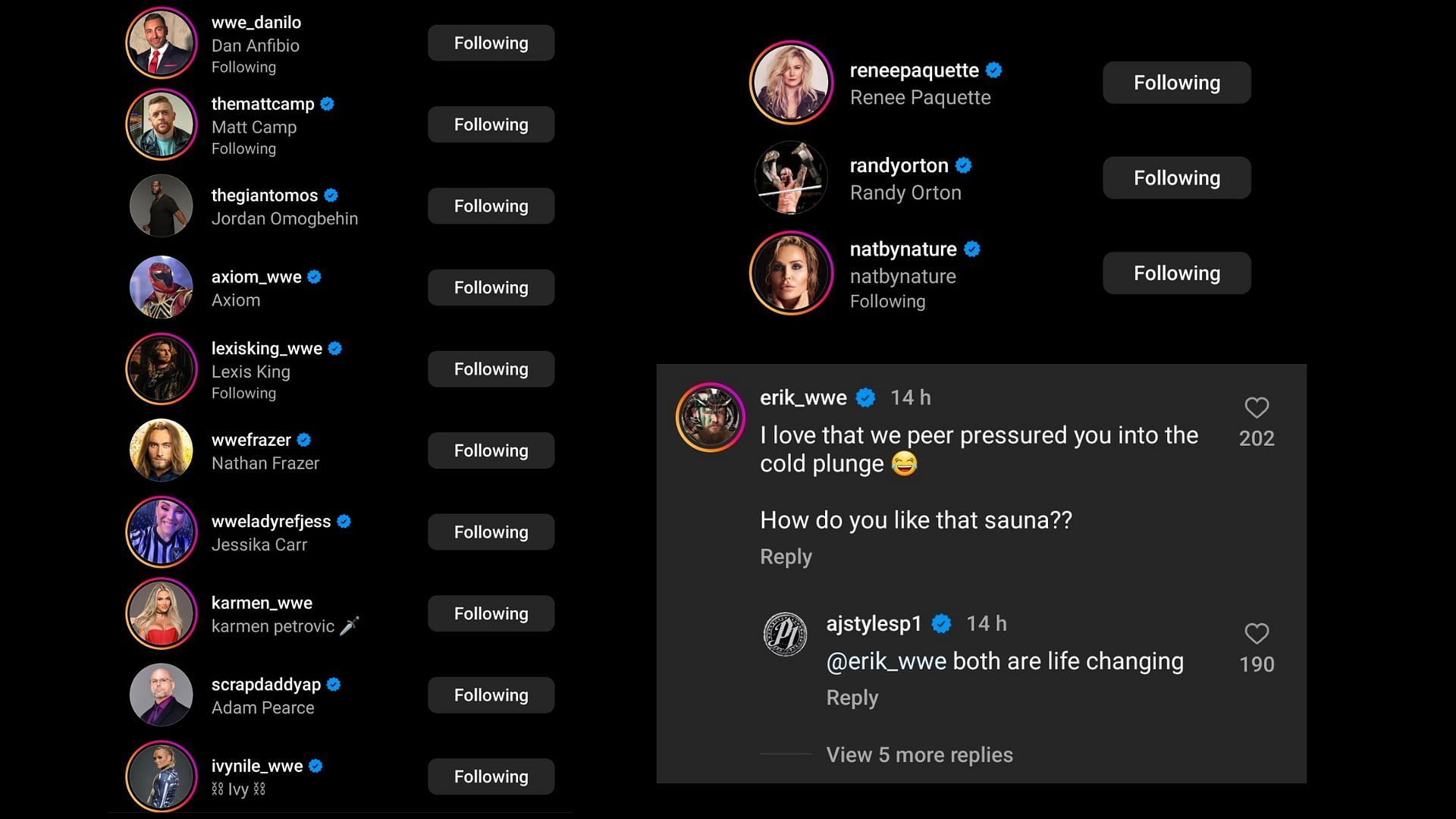 Screenshot of stars' likes and Erik's comment on AJ Styles' Instagram post